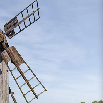 Alböke med inspiration från Ölands vackra natur