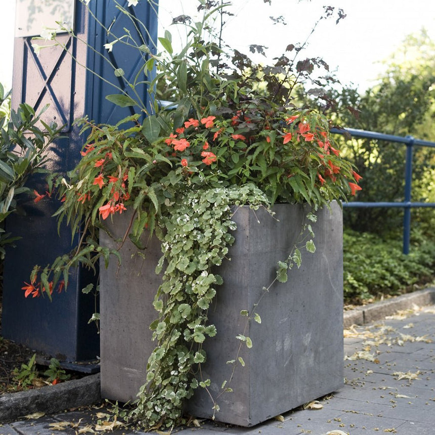 Bergen Kruka Grå 400x400x450 - Stenbolaget