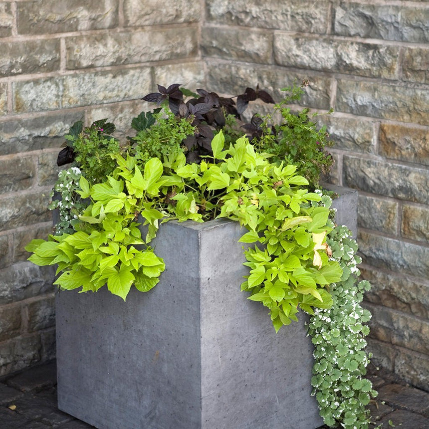 Bergen Kruka Grå 400x400x450 - Stenbolaget