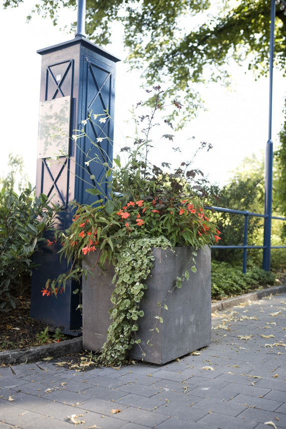 Bergen Kruka Grå 600x600x675 - Stenbolaget