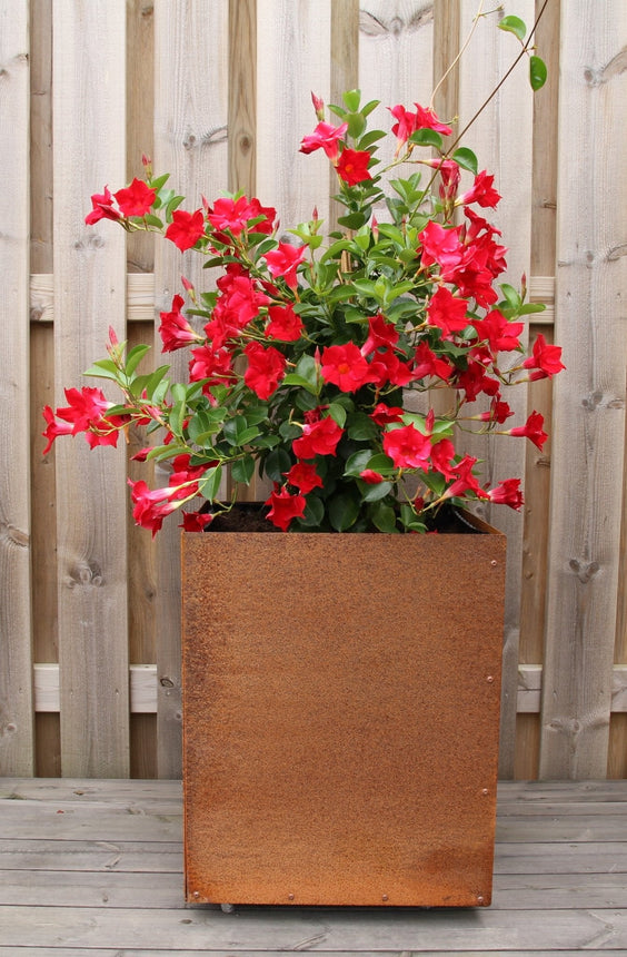 Corten Kruka m Botten 300x300x400 - Stenbolaget