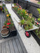 Dekorsten Krossad Dolomit Vit 10 - 20 1000kg - Stenbolaget