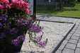 Dekorsten Krossad Dolomit Vit 10 - 20 1000kg - Stenbolaget