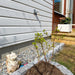 Dekorsten Riverstone Multicolor 10 - 20 1000kg - Stenbolaget