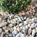 Dekorsten Riverstone Multicolor 10 - 20 20kg - Stenbolaget