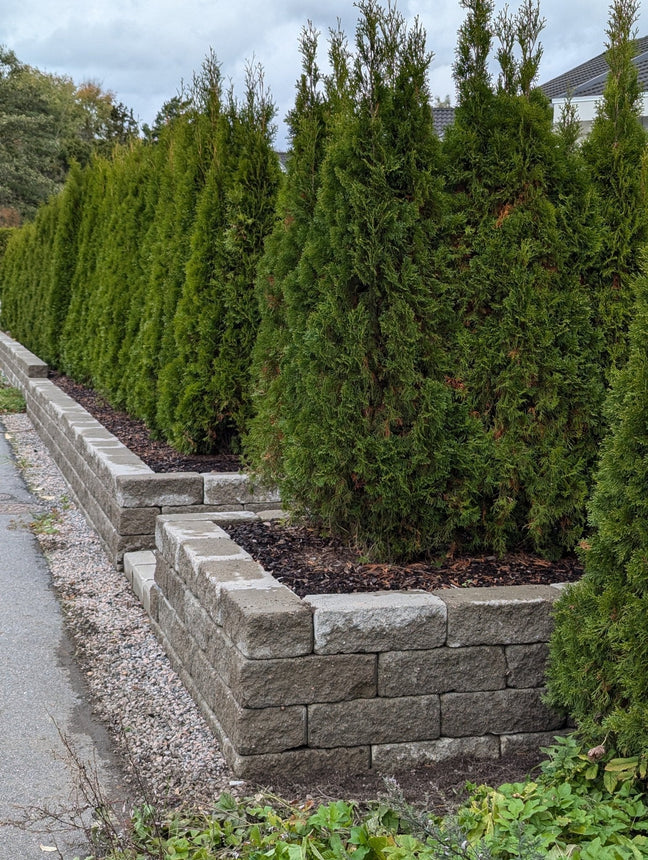 Gripsholm Normalsten Grå - Stenbolaget Stödmur - Betong