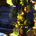 Ljusslinga String Lightson - Stenbolaget