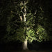 Markspotlight Castor LightsOn - Stenbolaget