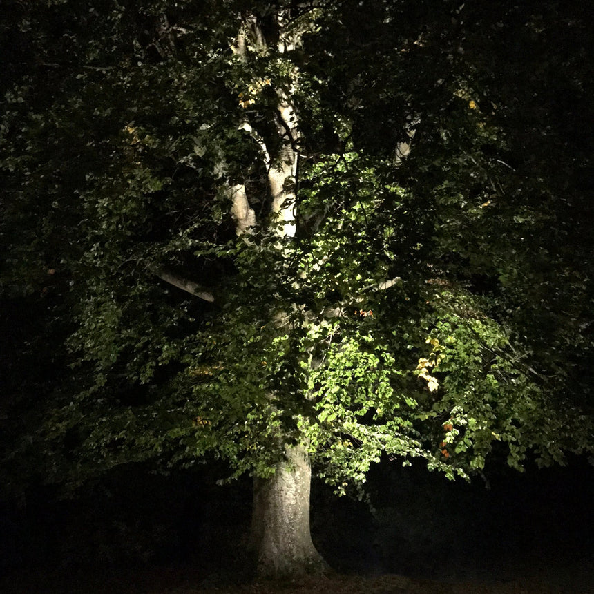 Markspotlight Castor LightsOn - Stenbolaget