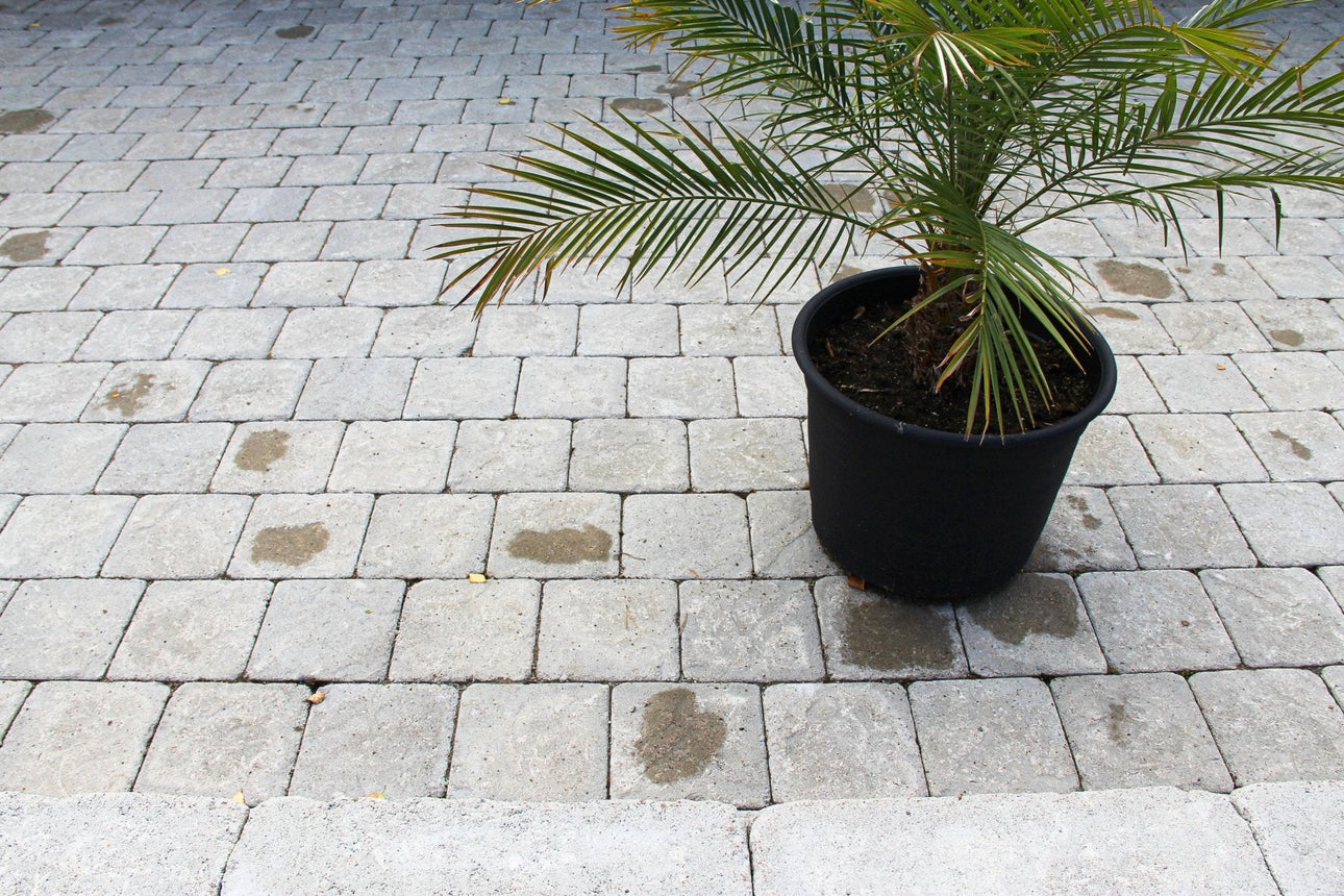 Marksten Visby Struktur Kvadrat Grå 50mm - Stenbolaget