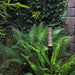 Pollare Pollux LightsOn - Stenbolaget