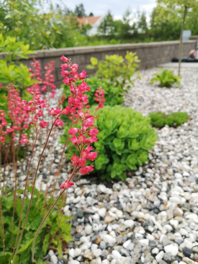 Sjösingel Svart/Vit 16 - 32 Storsäck 500kg - Stenbolaget