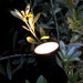 Spotlight Medusa LightsOn - Stenbolaget
