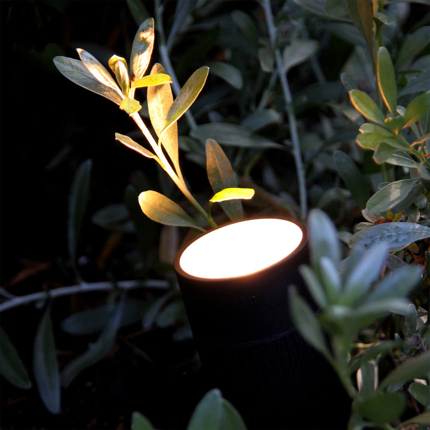 Spotlight Medusa LightsOn - Stenbolaget