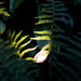 StartpaketLuna Black LightsOn - Stenbolaget