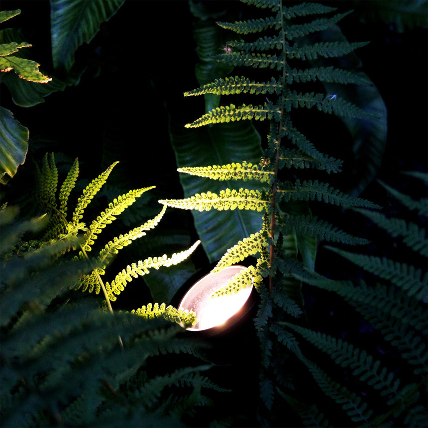StartpaketLuna Black LightsOn - Stenbolaget
