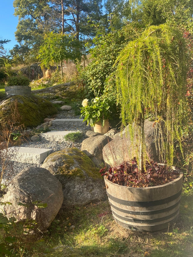 Stentrappa Bergama Granit Premium Grå 500x350x150 - Stenbolaget