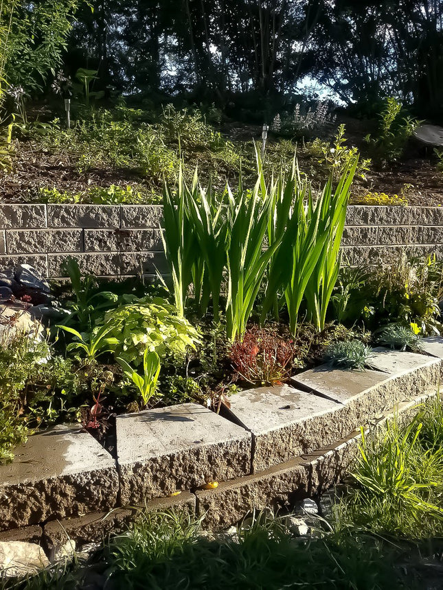 Stödmur Haga Mini Grå - Stenbolaget