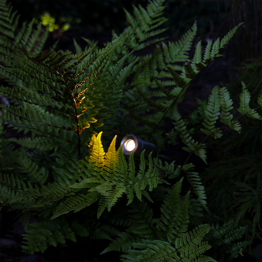 Spotlight Optica LightsOn | Stenbolaget.